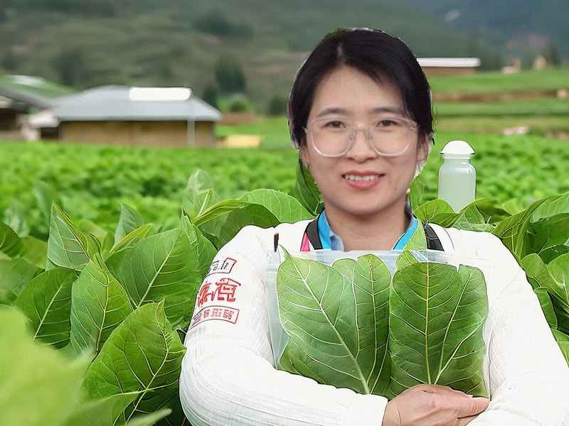 孙瑞雪儿童心理咨询师；孙雪华心理咨询师