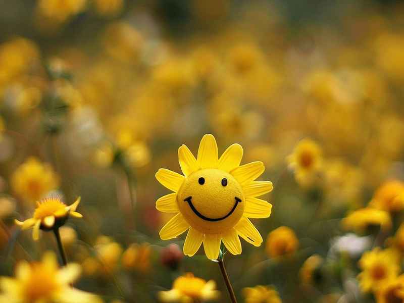 《快乐心理学》读后感，《快乐心理学》读后感怎么写