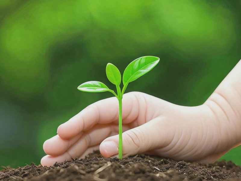 儿童共情能力的发展研究；儿童共情能力的发展研究目的