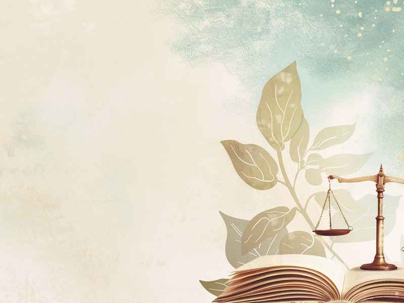 学前儿童心理学主题7;学前儿童心理学主题7答案 学前儿童心理学主题7;学前儿童心理学主题7答案