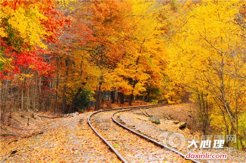 世界这么大 一起出去看吧
