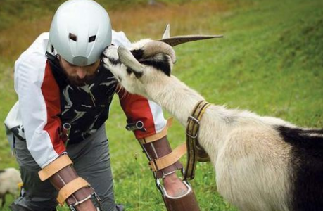 山羊-失业男子变山羊，失业那么可怕？