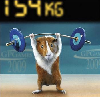 求职应聘大学生的求职举重静心术