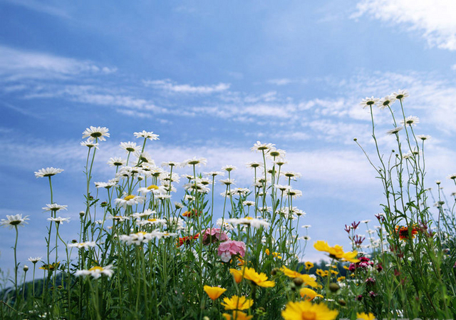 心理学-心病还需心药医调整心理是关键